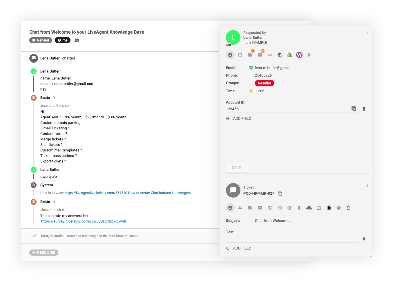 чат-ползи-CRM-LiveAgent